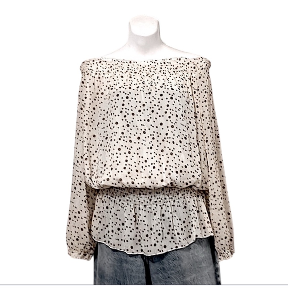 Sheer Chiffon Polka Dot Boho Long Sleeve Elastic Waist Top